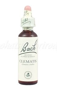 Clematis - Plamienok plotný 20 ml - bachove kvapky