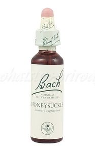 Honeysuckle - Zimolez kozí list 20 ml - bachove kvapky