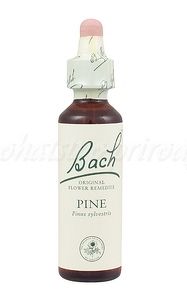 Pine - Borovica lesná 20 ml - bachove kvapky
