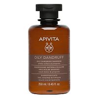 APIVITA Oily Dandruff Shampoo, 250ml 1×250 ml šampón