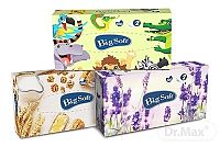 Big Soft deluxe BOX 1×100 ks, hygienické vreckovky
