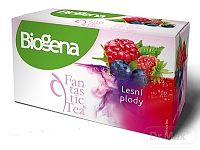 Biogena Fantastic Tea Lesné plody 20×2,2 g (44 g), ovocný čaj