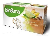 Biogena Fantastic Tea Zázvor & Limetka 20×2 g (40 g), ovocný čaj