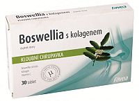 BOSWELLIA s chondroitínom a kolagénom tbl 1x30 ks
