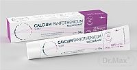 Calcium pantothenicum VULM kalciová masť 1x40 g, kalciová masť