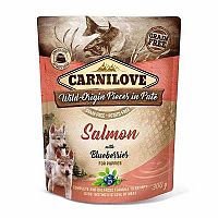 Carnilove Kapsička Dog Paté Salmon With Blueberries For Puppies 300g 1×300 g