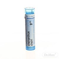 CHEIRANTHUS CHEIRI 1×4 g, homeopatický liek