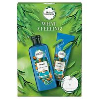 Darčekový Set Pre Zeny – Šampón Herbal Essences Argan Oil Of Morocco 400 ml A Kondicionér 275 ml 1×1ks, darčeková kozmetická sada pre ženy
