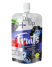 DayUp Fruits Blueberry PO 1×100 g, ovocná kapsička