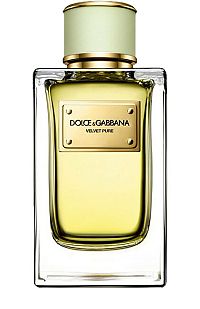 Dolce&Gabbana Velvet Pure Edp 150ml 1×150 ml, parfumová voda