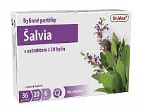 Dr.Max Bylinné pastilky Šalvia s extraktom z 20 bylín a medom 36 ks