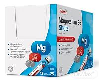 Dr.Max Magnesium B6 Shots 12×25 ml, horčík+B6