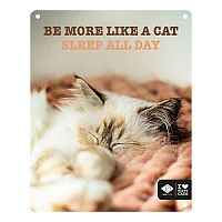 EBI D&D kovová tabuľa: ,,Be more like a cat sleep all day\