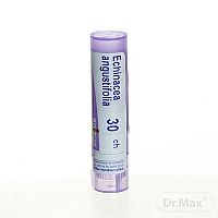 ECHINACEA ANGUSTIFOLIA 1×4 g, homeopatický liek