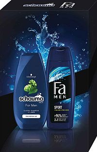 FA MEN SPORT SG 250ML+SHP 250ML 1SET VIANOCE 22 1×1 set