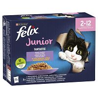FELIX Fantastic Junior Multipack 6 (12x85g) hovädzie, kura, sardinky, losos v želé 12×85g