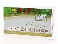 FYTO Bylinná zmes PRI BOLESTIACH KĹBOV 20x1,25 g (25 g)