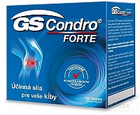 GS Condro FORTE tbl 1x120 ks