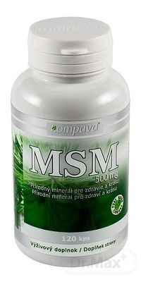 Kompava MSM 20 kapsúl - 500 mg