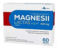MAGNESII LACTAS VULM 500 mg 1×60 tbl, liek