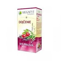 MEGAFYT Bylinková lekáreň DOJČENIE ovocný čaj 20x1,5 g (30 g)