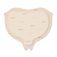 MOLNLYCKE Mepilex Border Sacrum 22x25cm Obväz na použitie okolo krížovej kosti, 5ks TOW020881