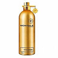 Montale Aoud Ambre Edp 100ml 1×100 ml, parfumová voda