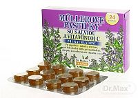 MÜLLEROVE PASTILKY ŠALVIA A VITAMÍN C 1×24 ks, pri nachladení