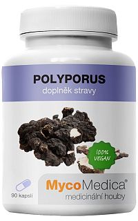 Mycomedica Polyporus 30% Vegan 500mg 90cps 1×90 cps