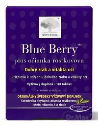 NEW NORDIC Blue Berry 1×120 tbl