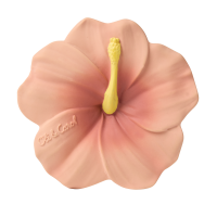 OLI&CAROL hryzatko ibištek Iris the Hibiscus 1×1 ks, hryzadlo