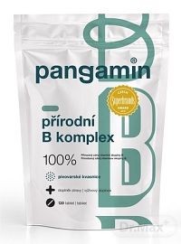 PANGAMIN Prírodný B-Komplex 1×120 tbl, výživový doplnok
