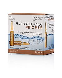 Proteoglicanos vitamin C 24x2ml 24x2ml