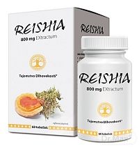 REISHIA 800 mg EXtractum cps 1x60 ks