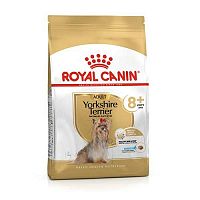 ROYAL CANIN BHN YORKSHIRE TERRIER AGE 8+ 500g -Suché krmivo pre yorkšírskych teriérov od 8 roku života
