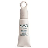 Shiseido Tekutý korektor s kyselinou salicylovou Waso
