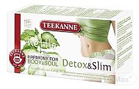 TEEKANNE HARMONY Detox & Slim bylinný čaj (inov.2018) 20x1,6 g (32 g)