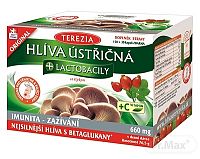 TEREZIA HLIVA USTRICOVITÁ + LAKTOBACILY so šípkami cps 150+30 (180 ks)