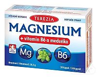 TEREZIA MAGNESIUM + vitamin B6 a meduňka 1×30 cps