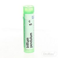 TRILLIUM PENDULUM 1×4 g, homeopatický liek