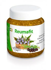 VIRDE REUMAFIT kostihojový gél s borievkou a MSM 1x350 g
