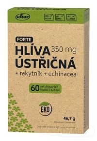 VITAR Hliva ustricová FORTE 350 mg + rakytník + echinacea EKO, 60 cps