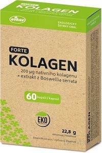VITAR KOLAGÉN FORTE + extrakt z Boswellia serrata cps 1x60 ks