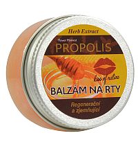 VIVACO Balzam na pery PROPOLIS 1x25 g