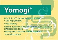 Yomogi cps dur 250 mg (blis.PVC/PE/PVDC/Al) 1x10 ks
