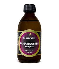 Zdravý svet Liver booster na pečeň 1×250 ml, doplnok výživy