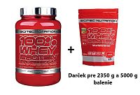 100% Whey Protein Professional od Scitec Nutrition