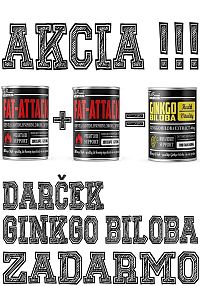 2+1 Zadarmo: Fat-Attack + Ginkgo Biloba Zadarmo - FitBoom 100 kaps. + 100 kaps. + 100 tbl.