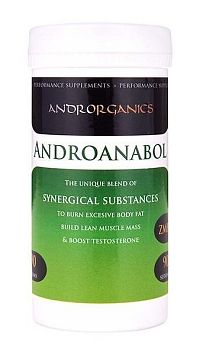 Androanabol - Androrganics 90 g