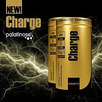 Charge (po intenzívnom a dlhodobom tréningu) - Yamamoto	 700 g Citron